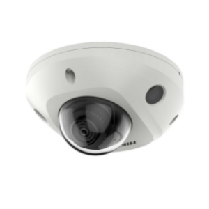 Mini Dome Ottica Fissa 2MP