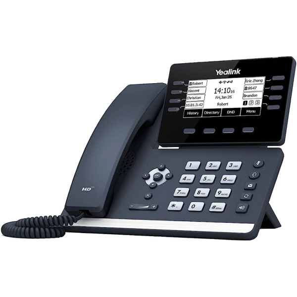 T53W IP PoE